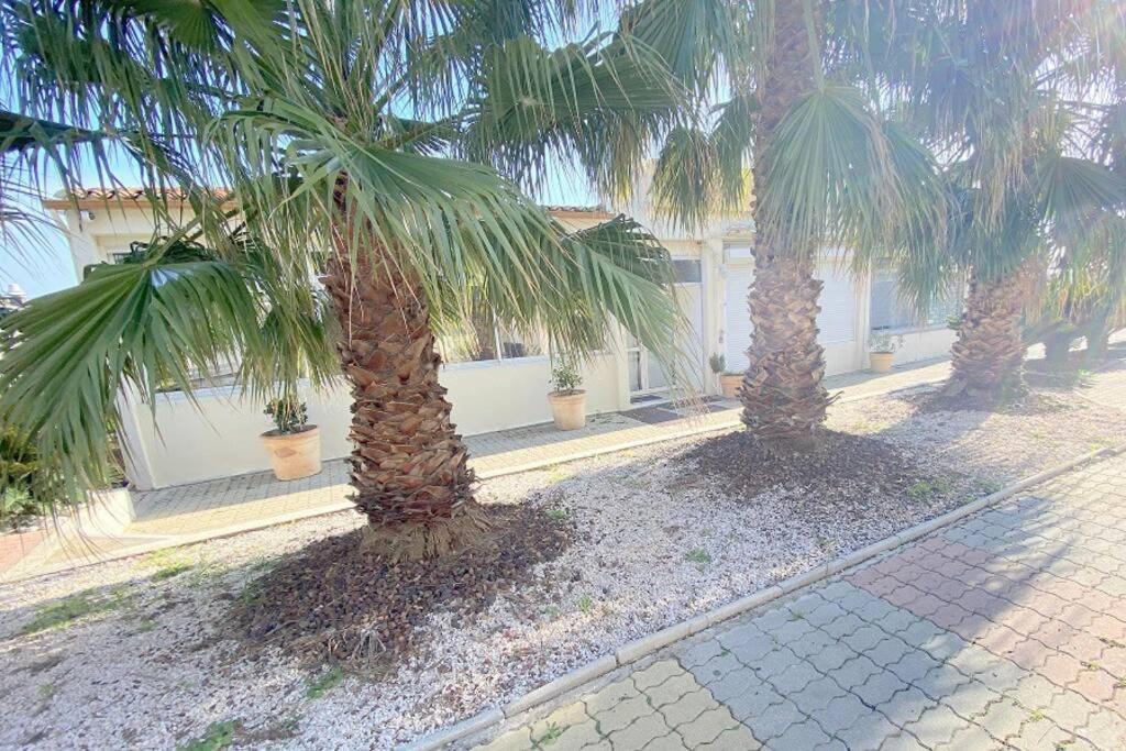 Village Naturiste Studio en RDJ ,Piscine ,Parking Agde Esterno foto