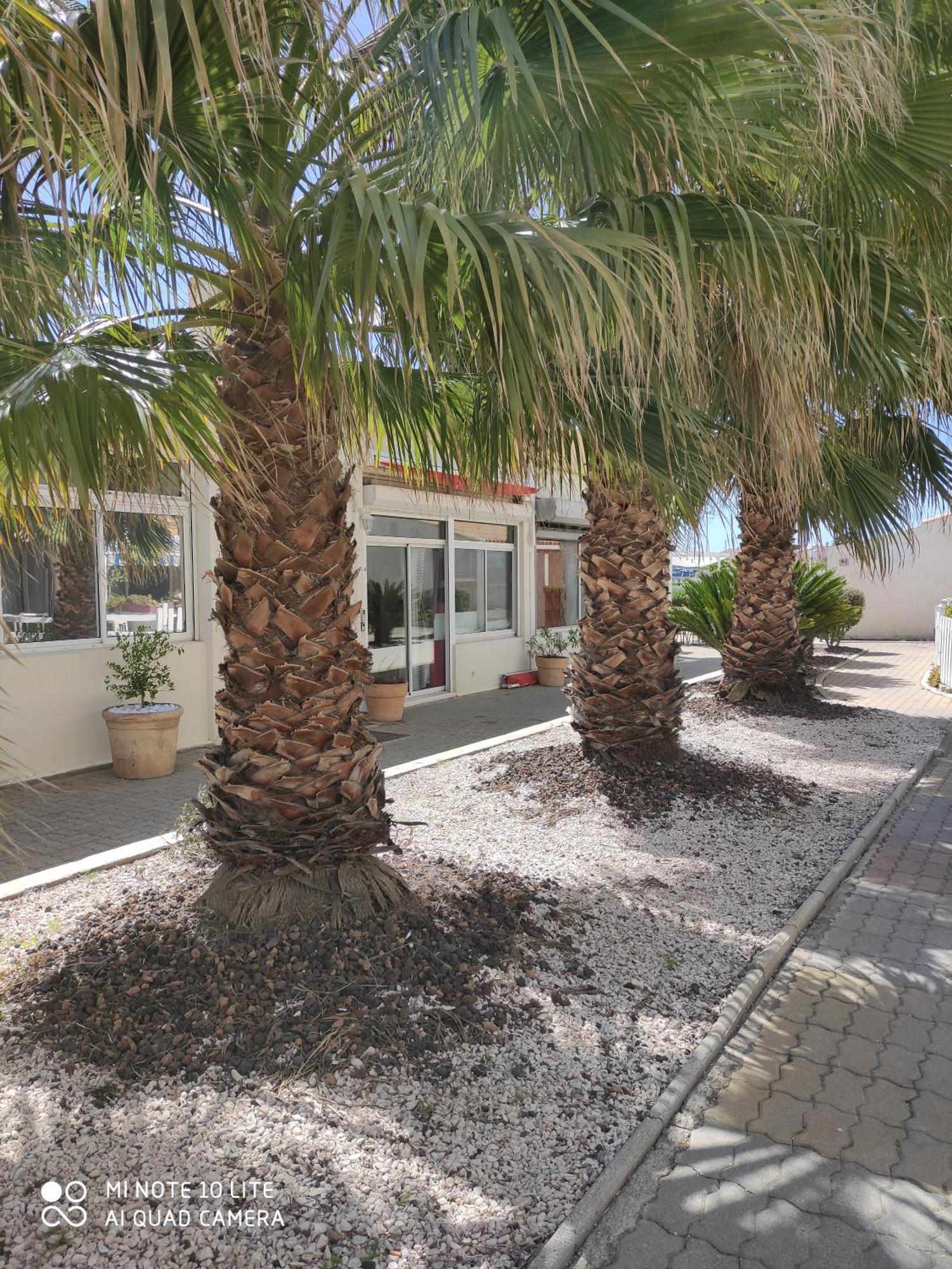 Village Naturiste Studio en RDJ ,Piscine ,Parking Agde Camera foto